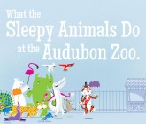 Book Review: What the Sleepy Animals Do at the Audubon Zoo