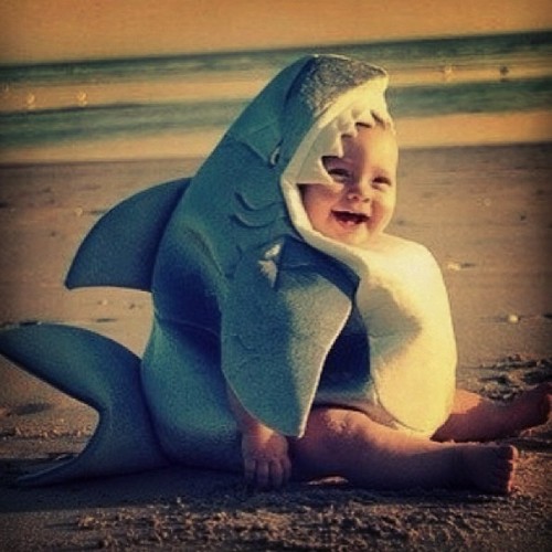 Baby_Jaws_Shark_Costume