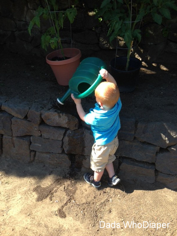 Child_watering_plants